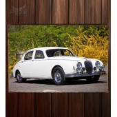 Металлическая табличка Jaguar Mark 1